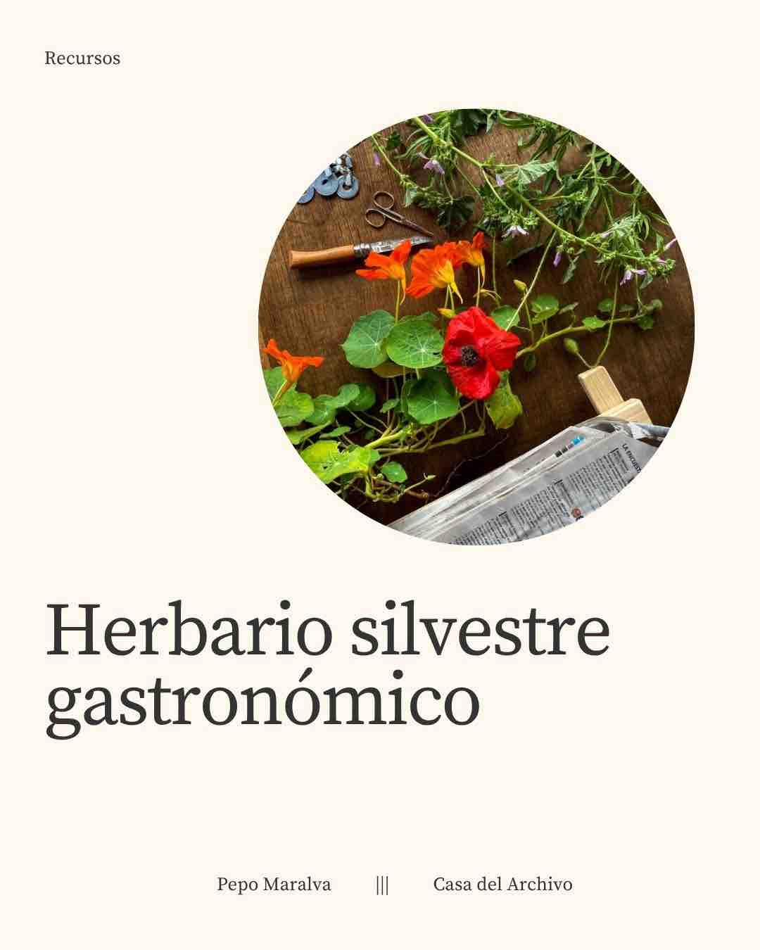 Herbario silvestre gastronómico