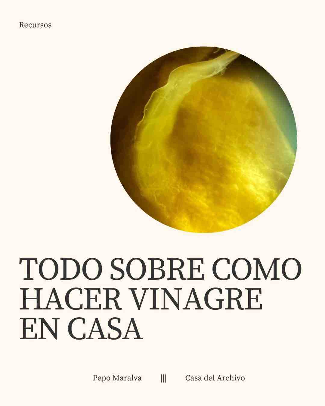 Todo sobre como hacer vinagre en casa