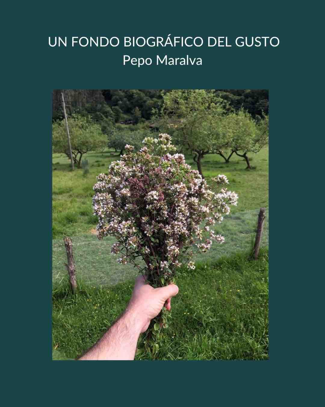 Nace un nuevo proyecto
